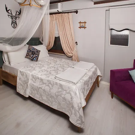Iola 4*