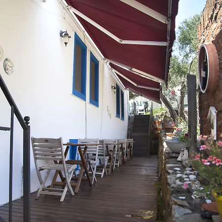 Iola 4*