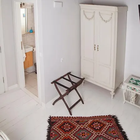 Iola 4*