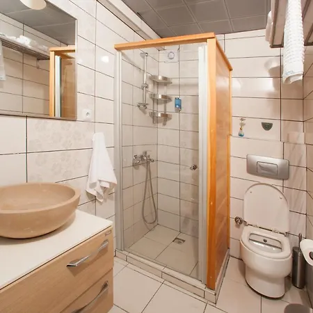 Iola 4*